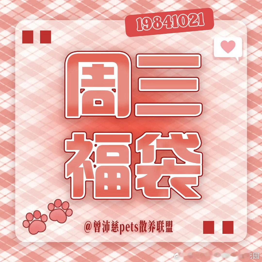 #曾沛慈[超话]#  [打call]#曾沛慈满分vocal# 

今天周三，大家必须完成福袋任务[抓狂][抓狂][抓狂]
一直评论帖子，直到福袋任务全部完成✅

​