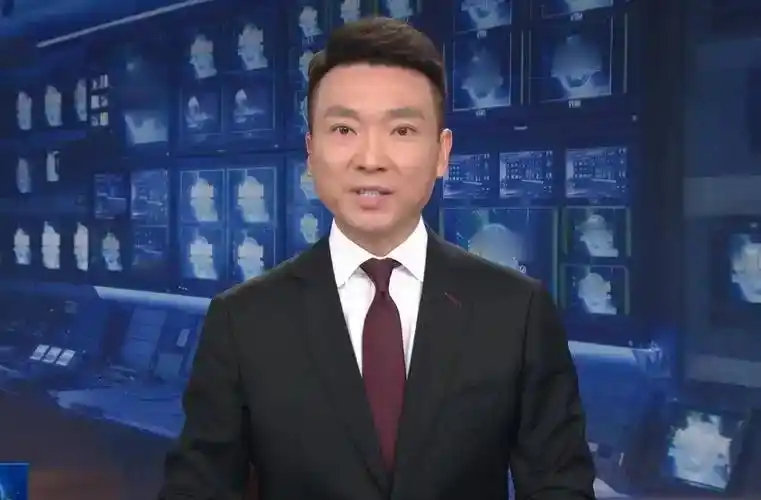 2000年，康辉和刘雅洁结婚了。婚后他们主动丁克，母亲临终留下几双虎头鞋，康辉说悔的不是选错是来不及 ​
