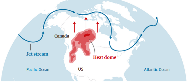 千年一遇極端高溫已致北美近600人死亡, 彭博社文章標題直接“歸咎中國”-圖5
