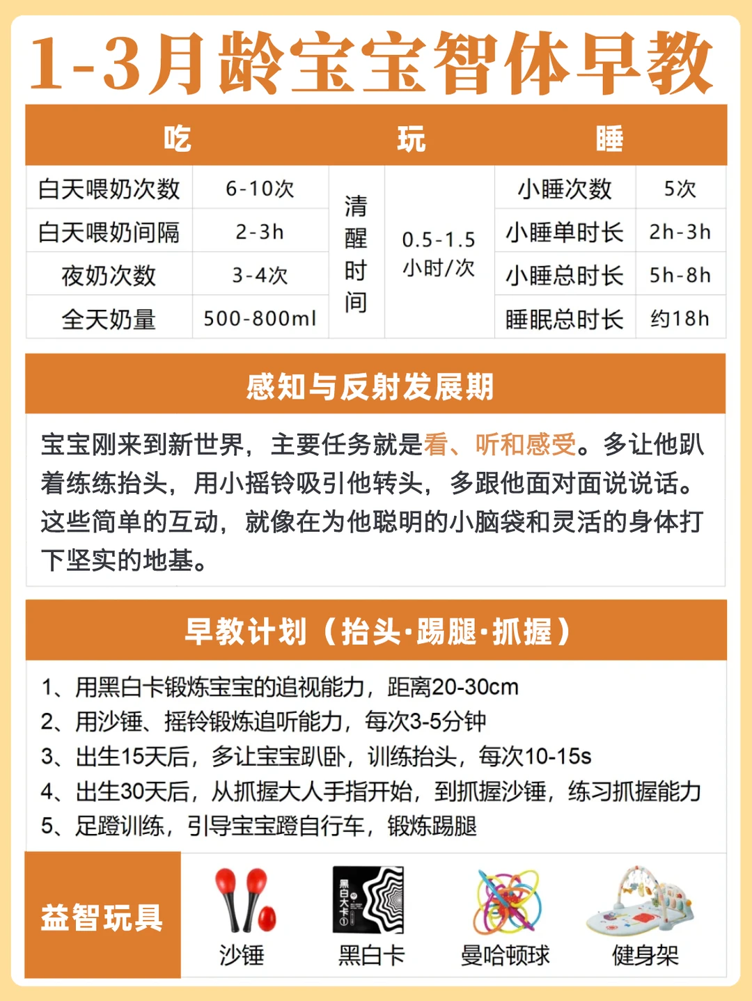 智体双修🏆这样给宝宝做早教真的赢麻了‼️