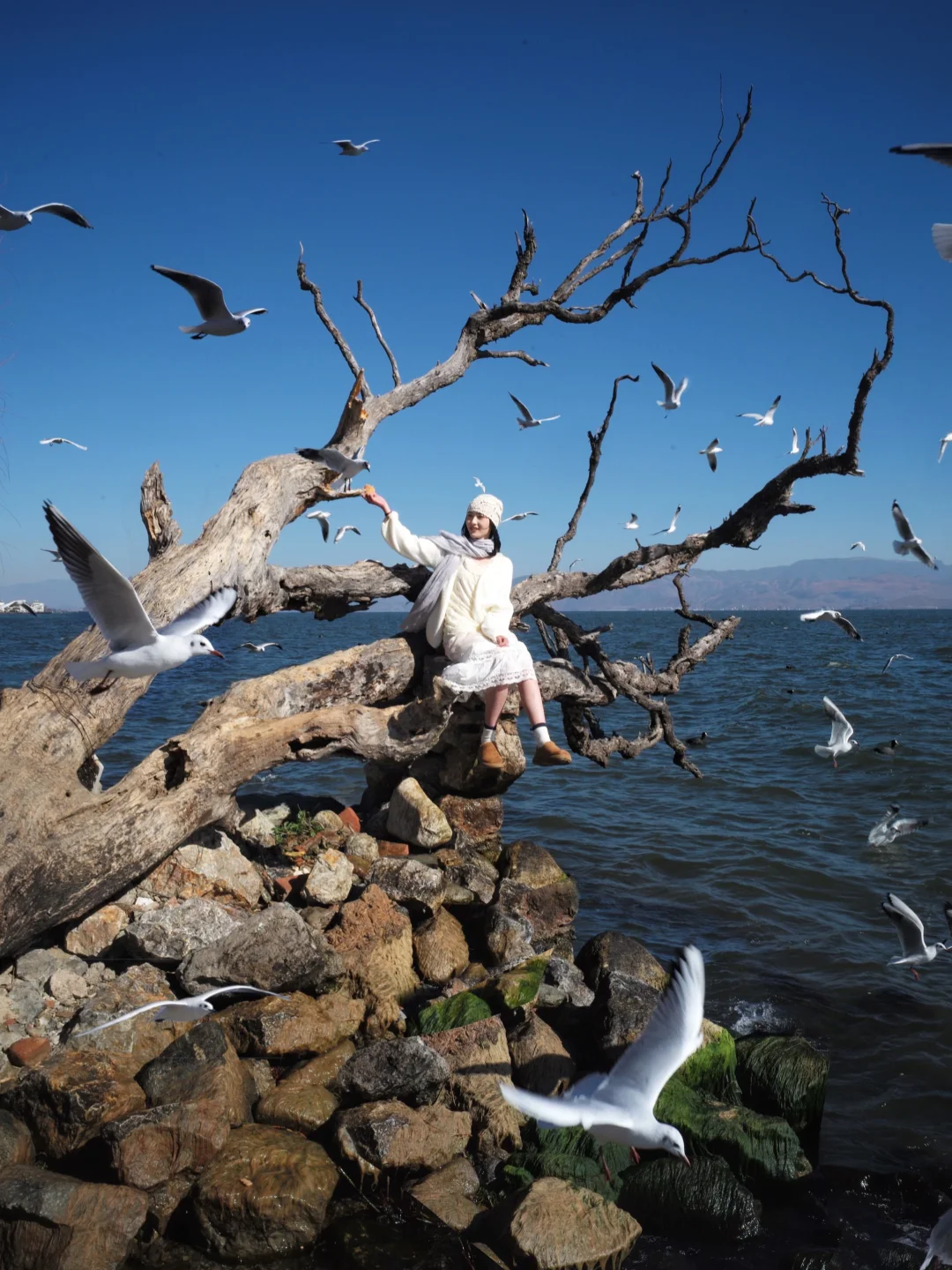 为了这4️⃣0️⃣多张照片我来了一趟大理，值吗？