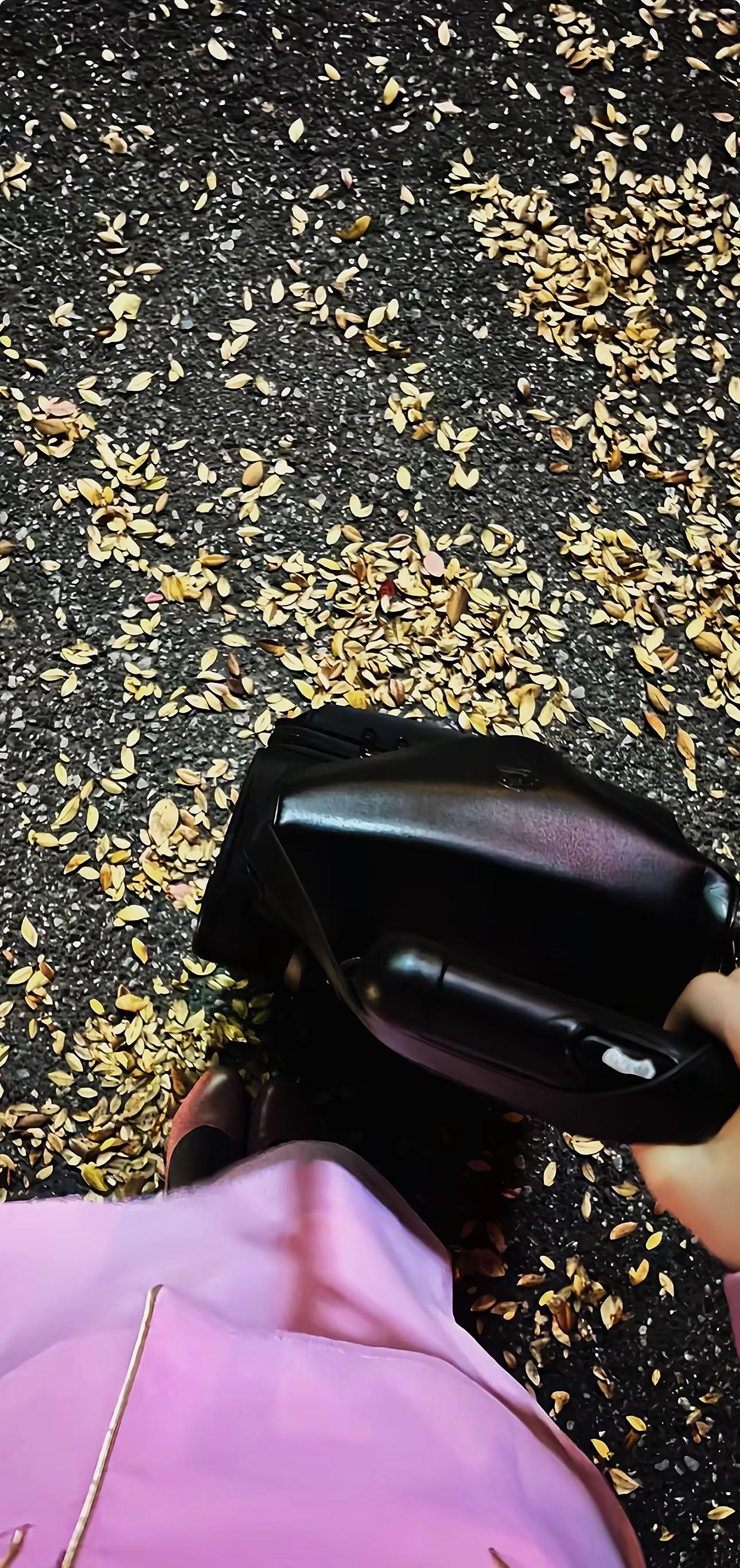 姐姐不缺道理，只缺偏爱。