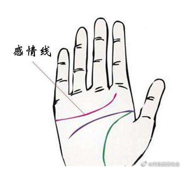手相小常识金丘：该区域位于拇指根部，呈现隆起状态并环绕着大拇指。在传统手相学里，金丘代表着一个人的健康状况与活力水平。旺盛的金丘往往意味着身体强壮、精力充沛。土星丘：中指根部隆起的部位为土星丘，其与思考能力和自信心密切相关。土星丘明显的人，往往具备深入思考的能力，并且对自身有着较强的信心。