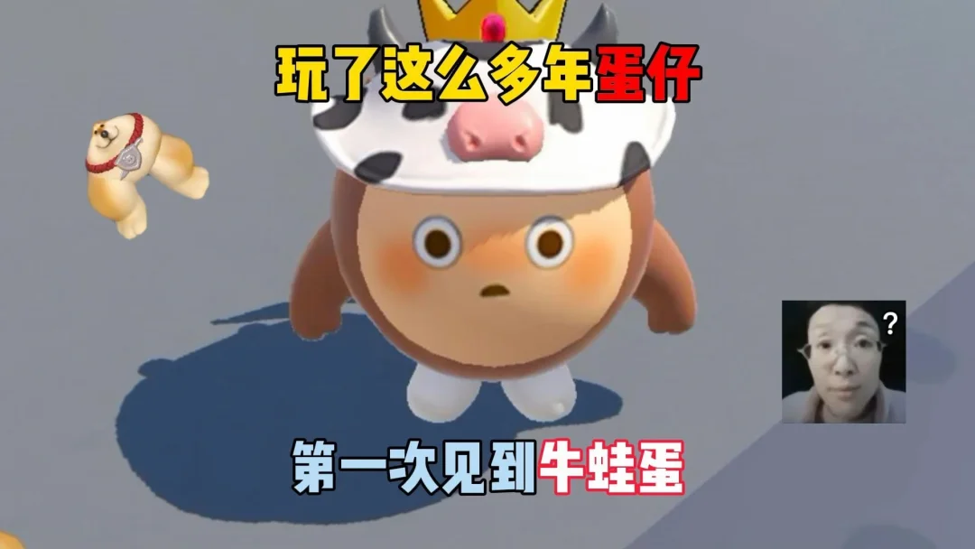 玩了这么多年蛋仔，第一次见到牛蛙蛋！