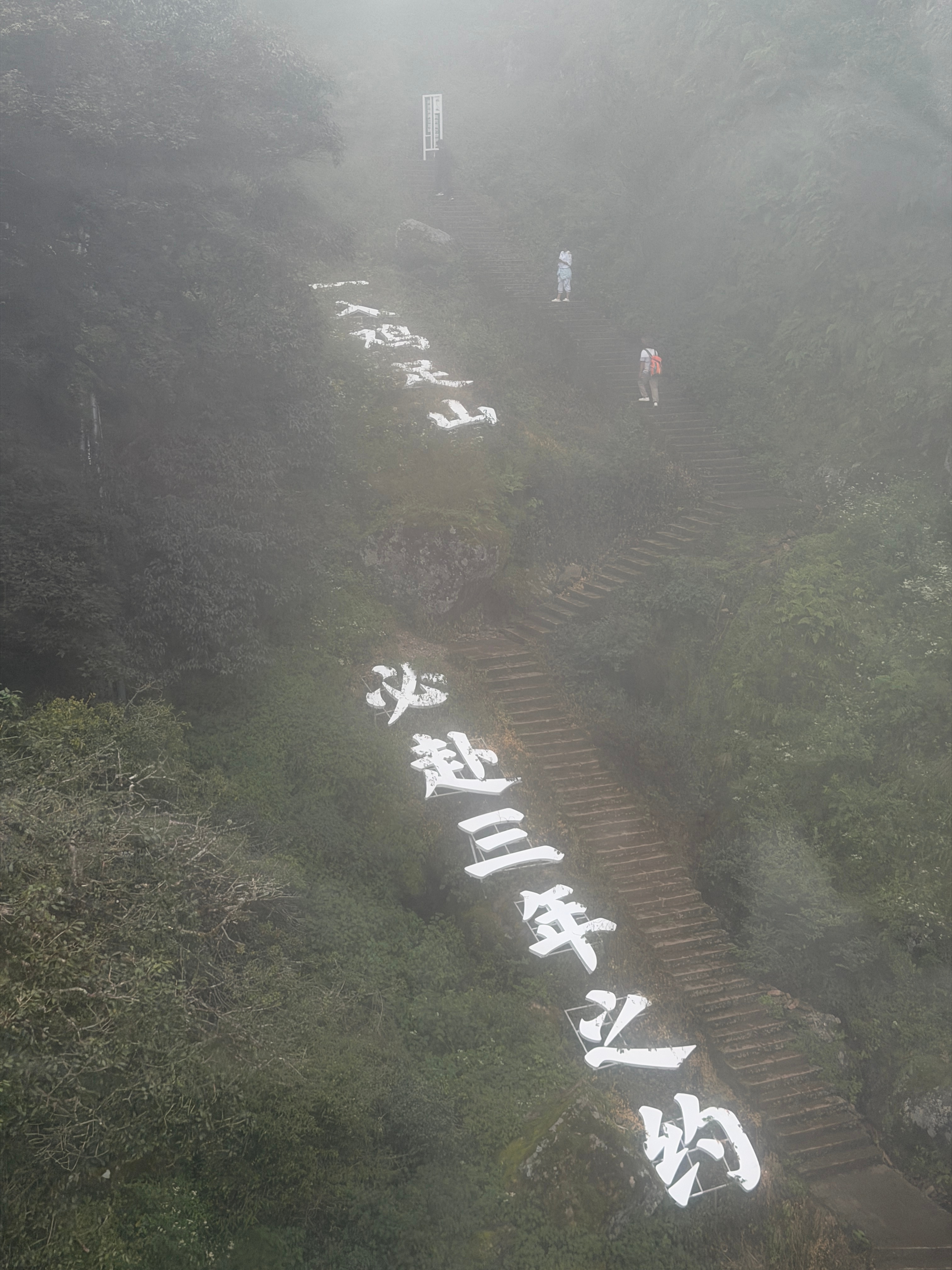 登上鸡足山金顶3248米。这里是徐霞客停留最久的名山，也是他游记最后一篇日记的落笔之地。从前拜佛，总有所求：求财、求爱、求事业。今日站在殿前，看万壑云生，心中竟无所求。《金刚经》说：应无所住，而生其心。当我把“求”放下，心中反而升起极其温柔的慈悲。那一刻我不觉得自己是来拜佛的人，竟觉得自己本是佛，是山，是风，是万物。原来无所求，即是俱足。