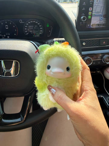 才想起来，我的驾驶证要过期了！这么快6年了！开车六年，一次违章都没有！...