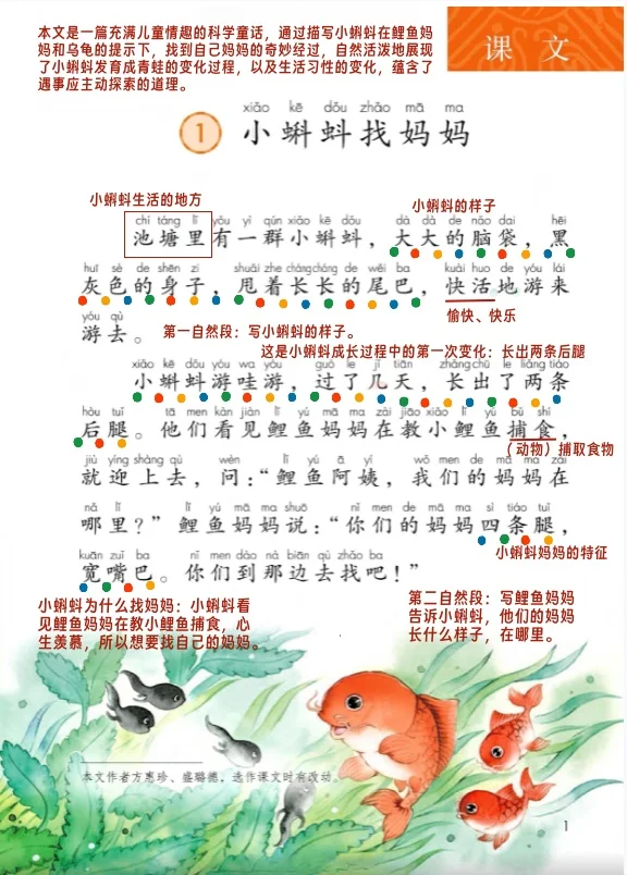 人教版二年级《小蝌蚪找妈妈》课堂笔记