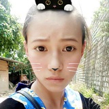 如松赏娱乐