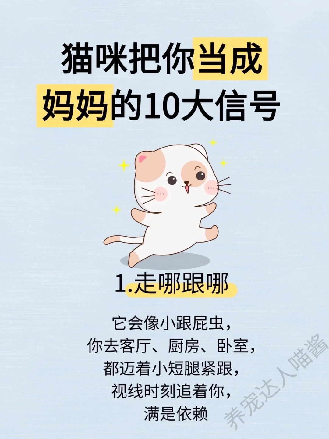 猫咪把你当成妈妈的10大信号