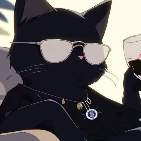猫哥专业解盘