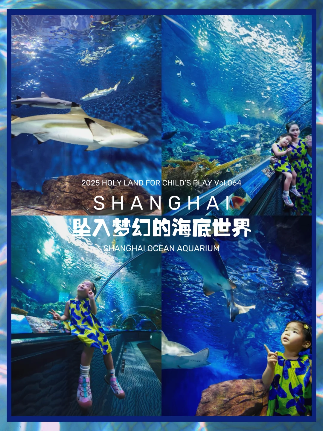 魔都遛娃64 | 带人类幼崽来海洋之旅