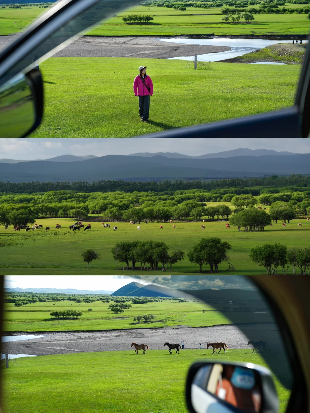 我存了半年钱，终于到了心心念念的呼伦贝尔