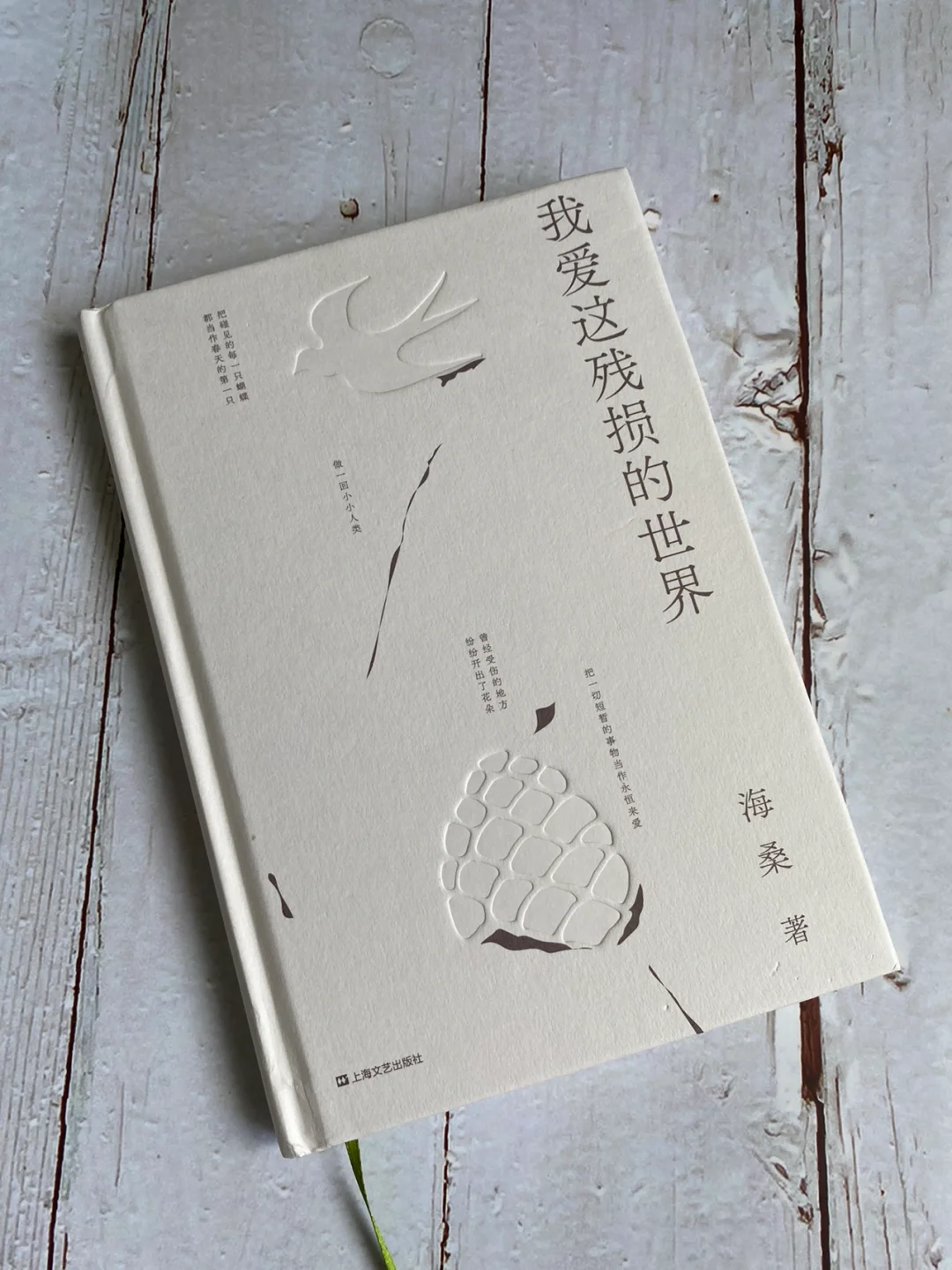 一本绝美诗集 | 建议摘抄整本且背诵