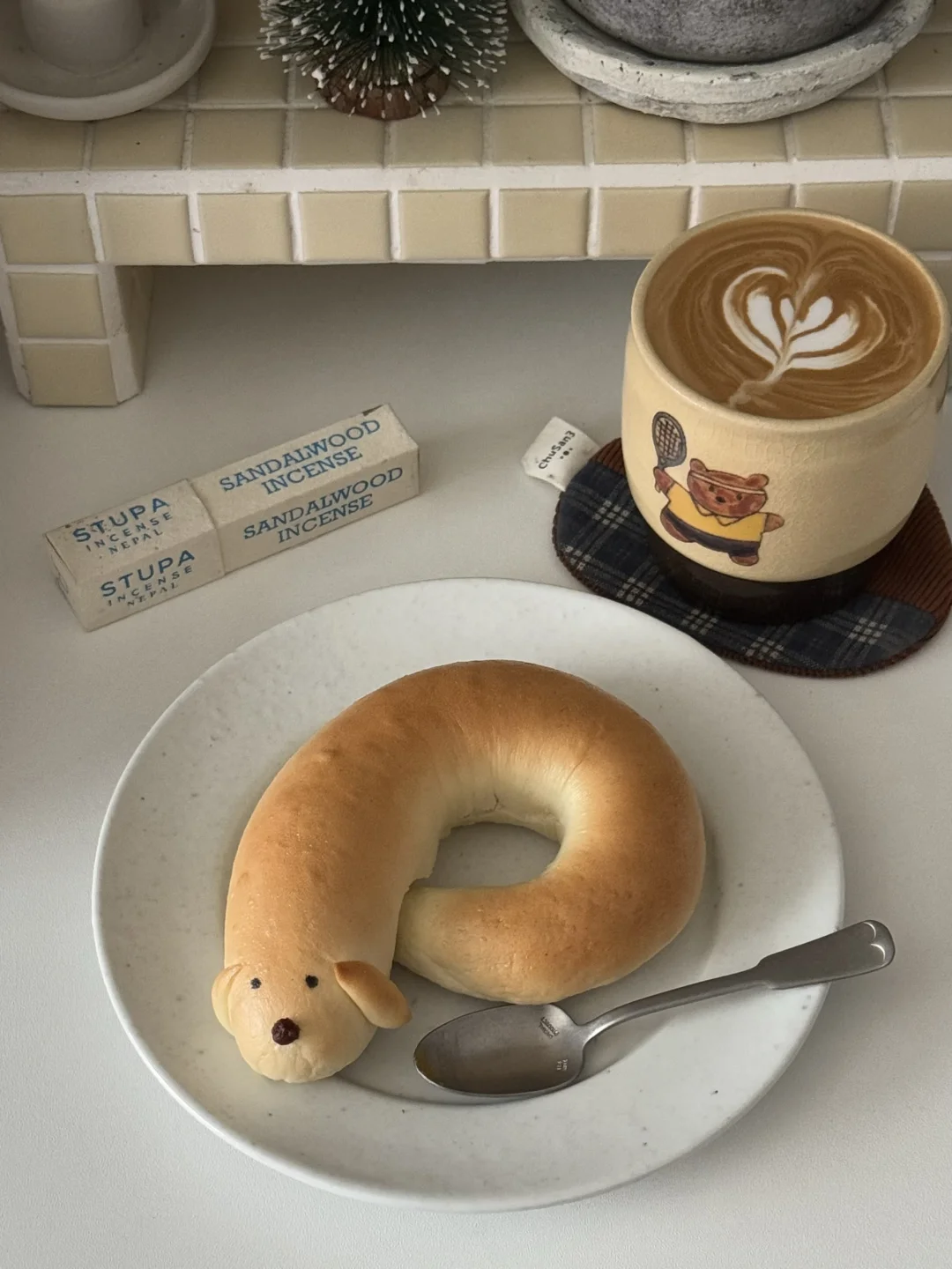 贝狗🥯