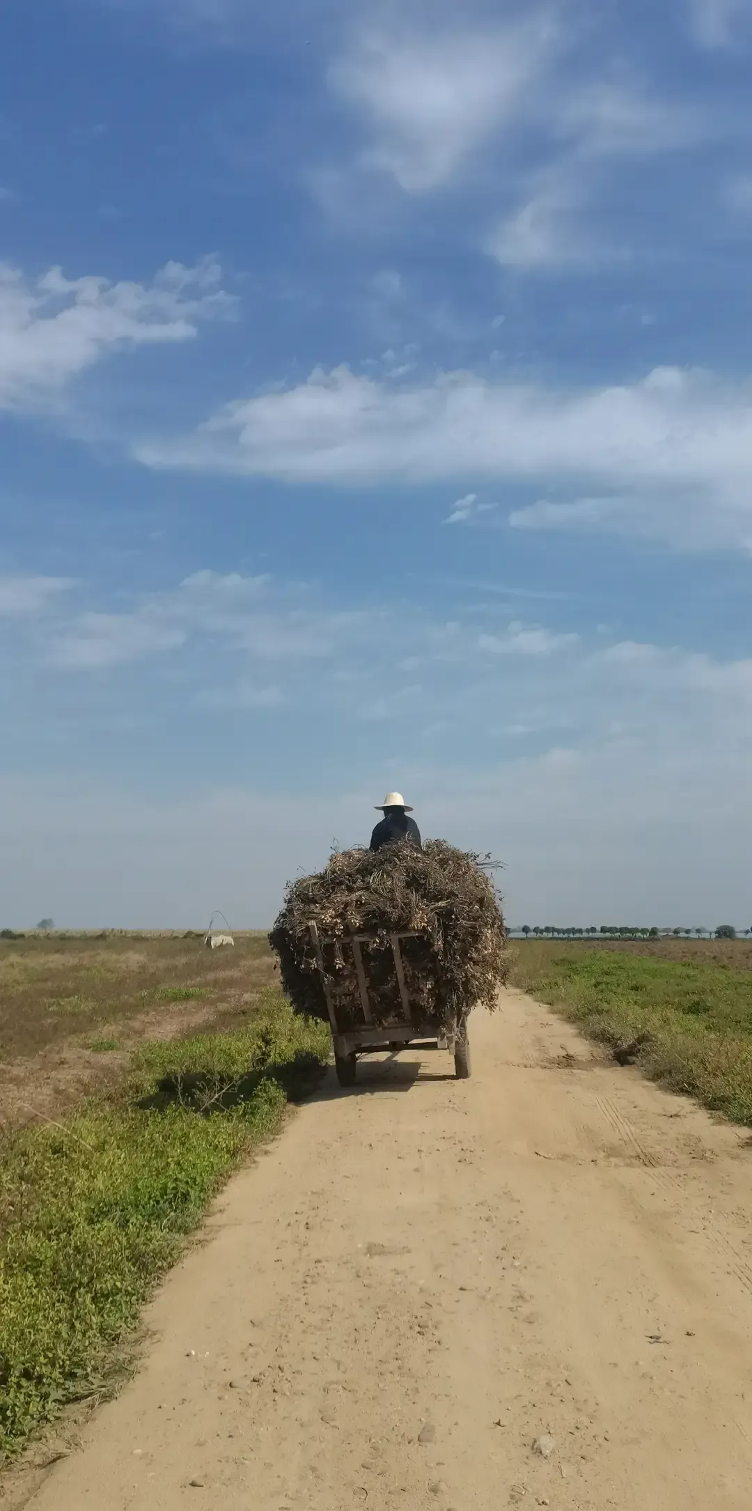刷到一堆“成年人顶级心计”短视频，教人脸不变色地装傻、捧人、藏锋，点赞...
