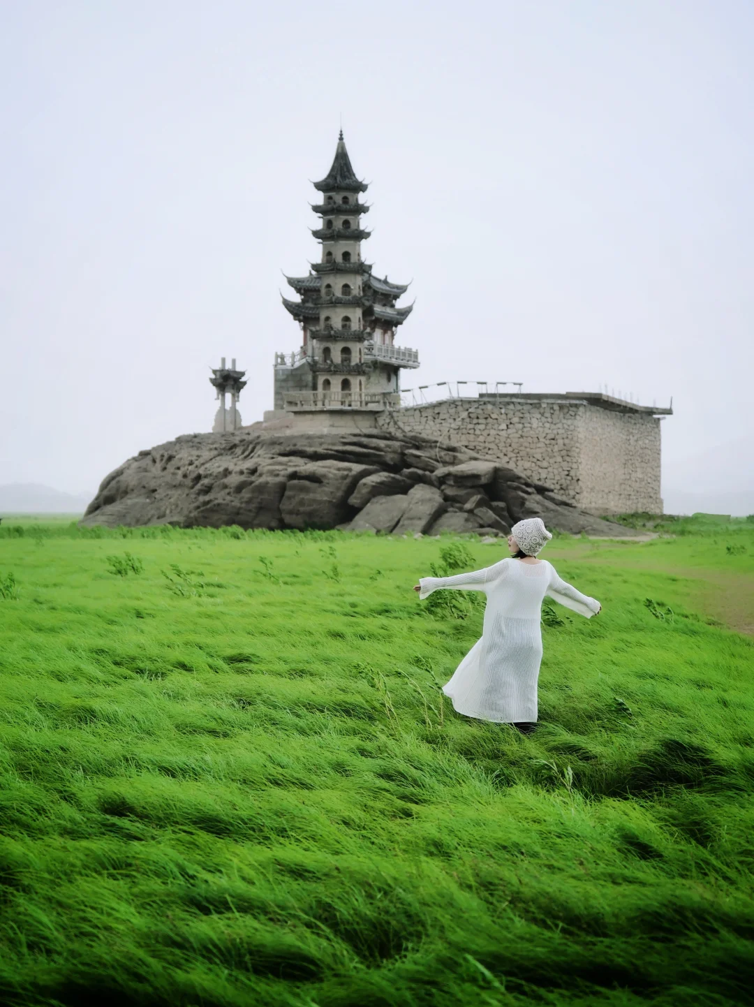 终于❗️一年一次的鄱阳湖神秘孤岛又出现了