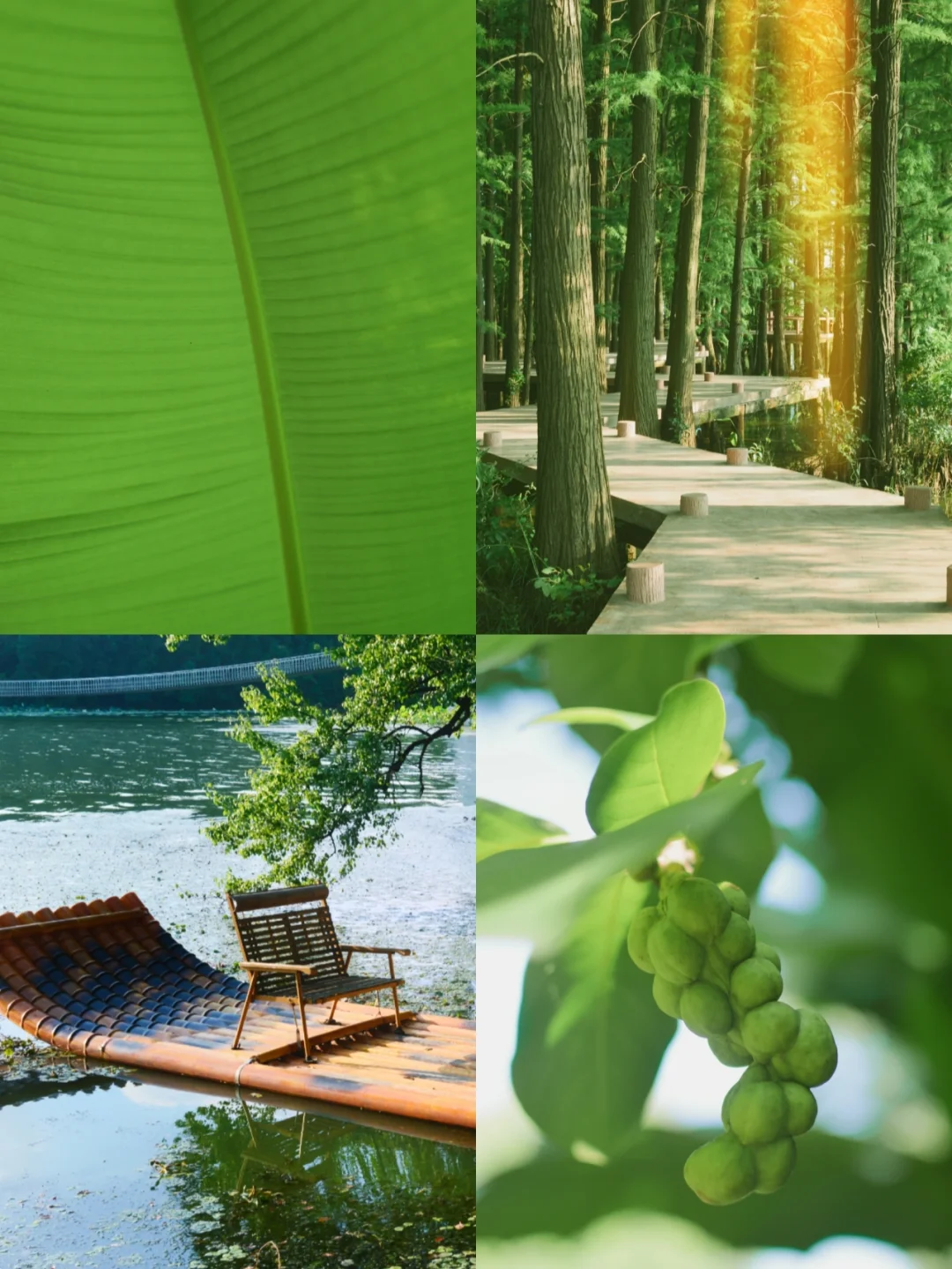 武汉小江南❗️竹筏+绿色秘境美哭了❗️