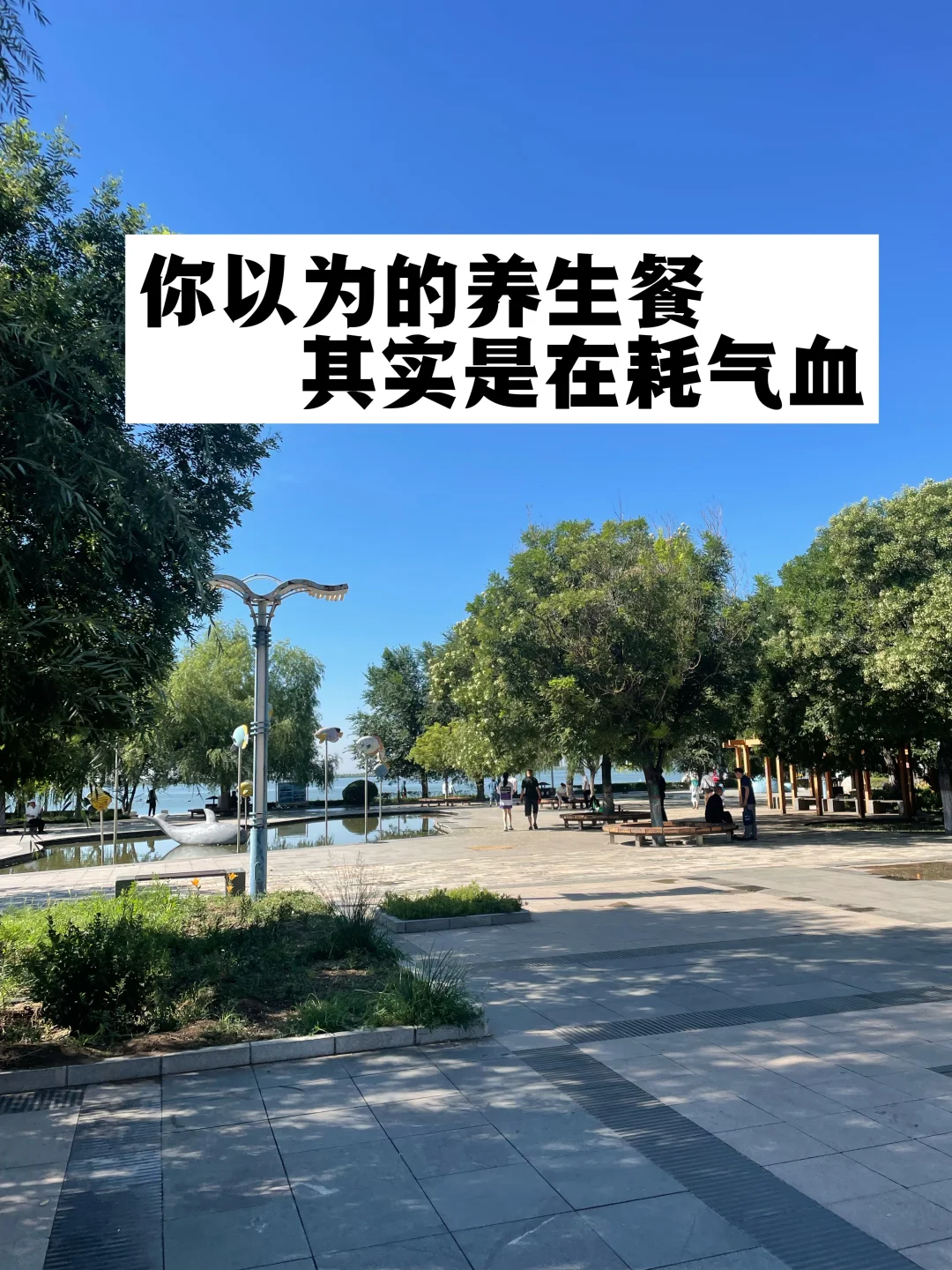 你以为的养生餐，其实是在耗气血.
