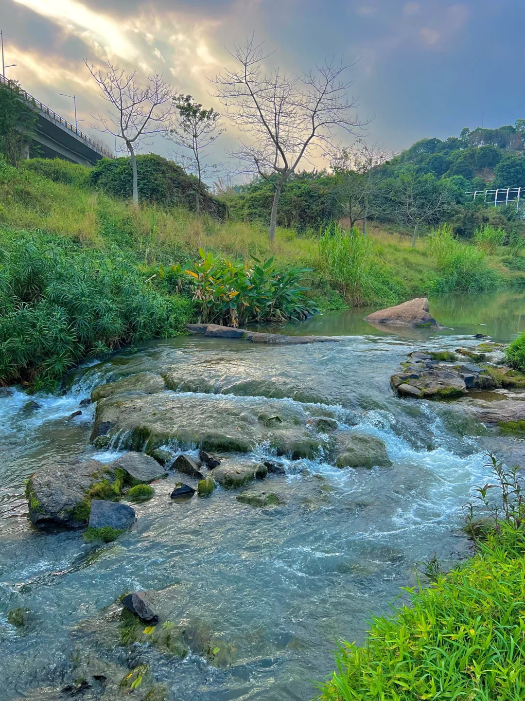 极少人知道的广州小众露营地🏕️人少免费