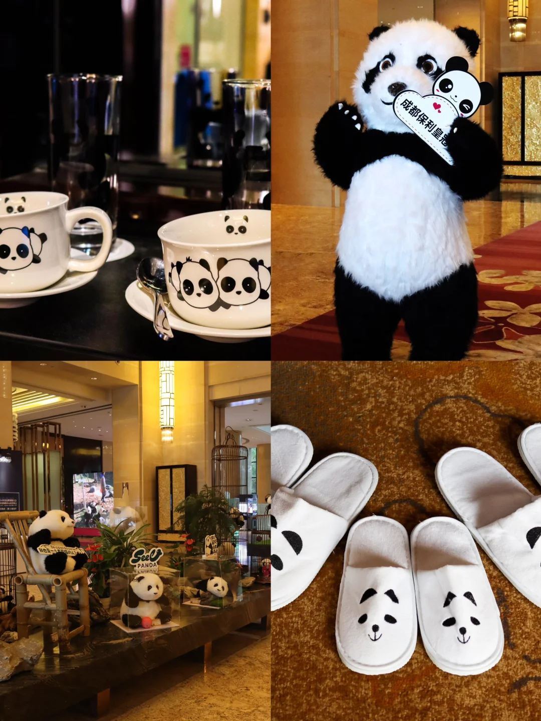 🐼成都｜住进熊猫窝里是什么体验？🤩