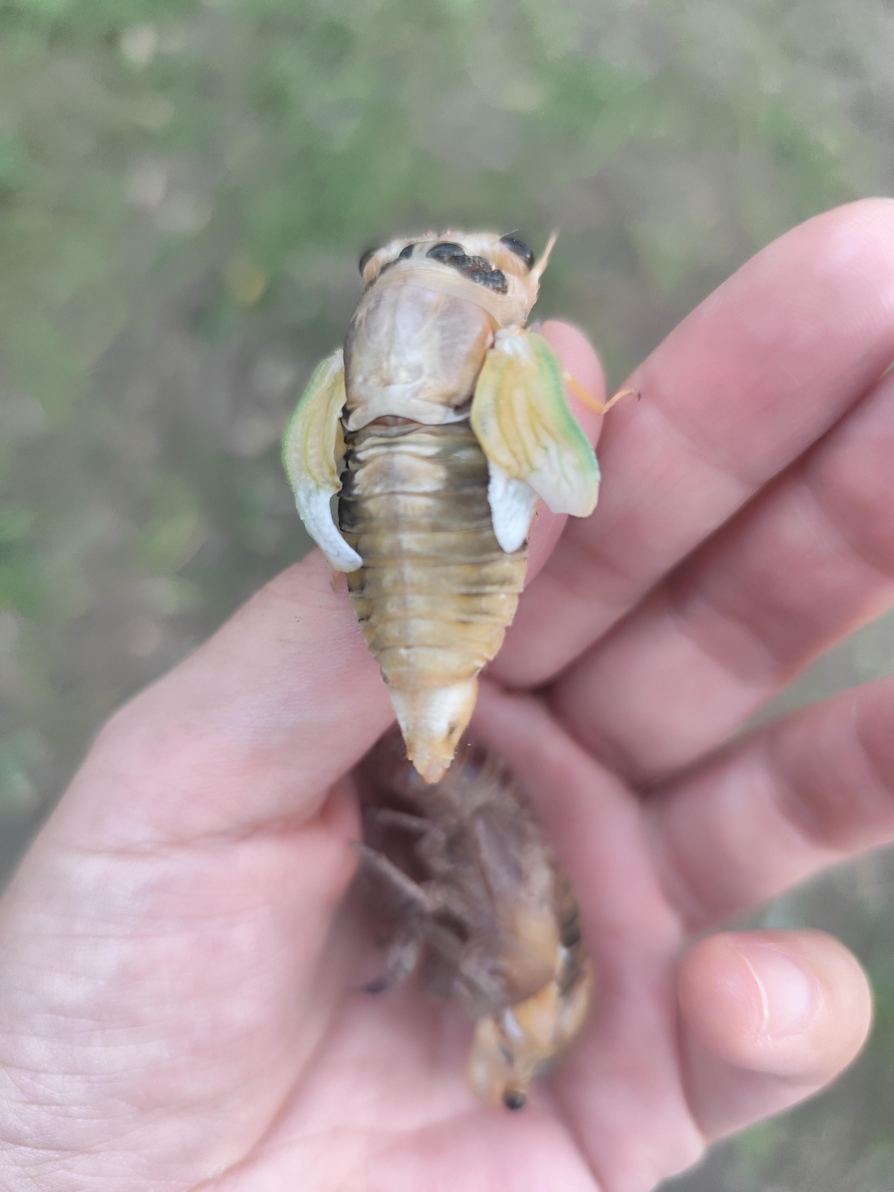 坐标潍坊市高新区

周末去试驾了

吉利小熊猫
五菱小迷你

还有奔腾小马

价格也了解了个差不多

高的
办完大约五万左右

价格再经济些的
也得三万左右

这笔钱
也不少啊

心里还是犹豫不决

大几万的钱

没那么轻易的

普普通通的工薪阶层

这真是不小的数目

说心里话

犹豫得很

不太