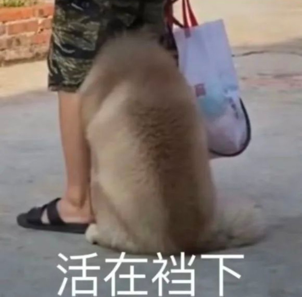 又到了存表情包的快乐时候