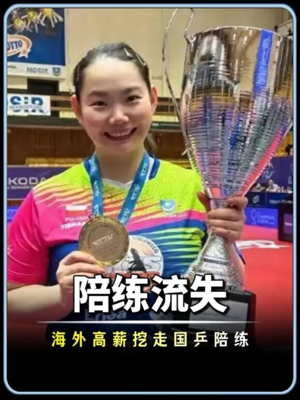 海外高薪挖角，国乒陪练大量流失，专职陪练从17人剩7人，看懂背后的收入差距#国乒#乒乓球#体育