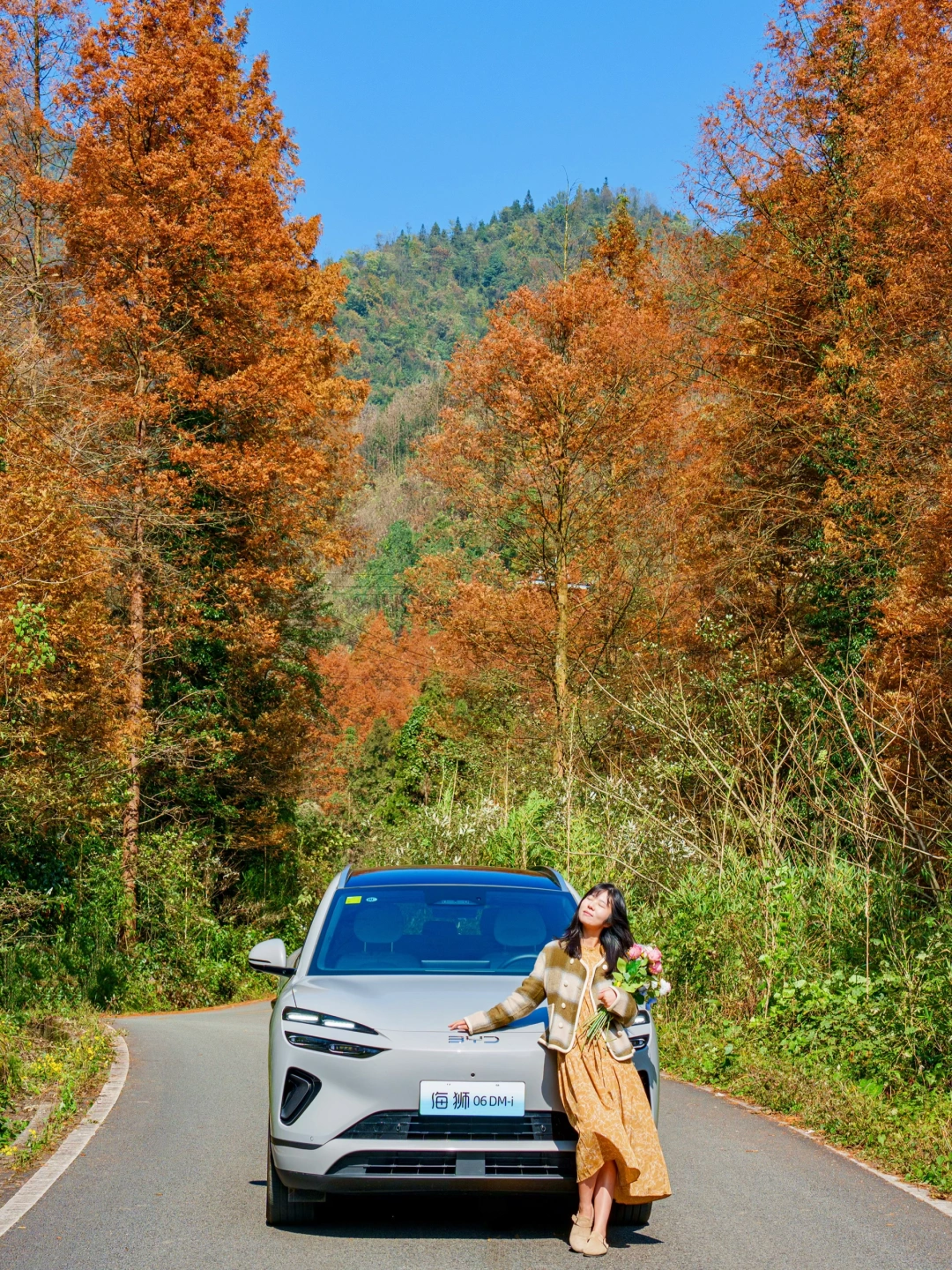 自驾去山野🍂成都周边绝美赏秋路线