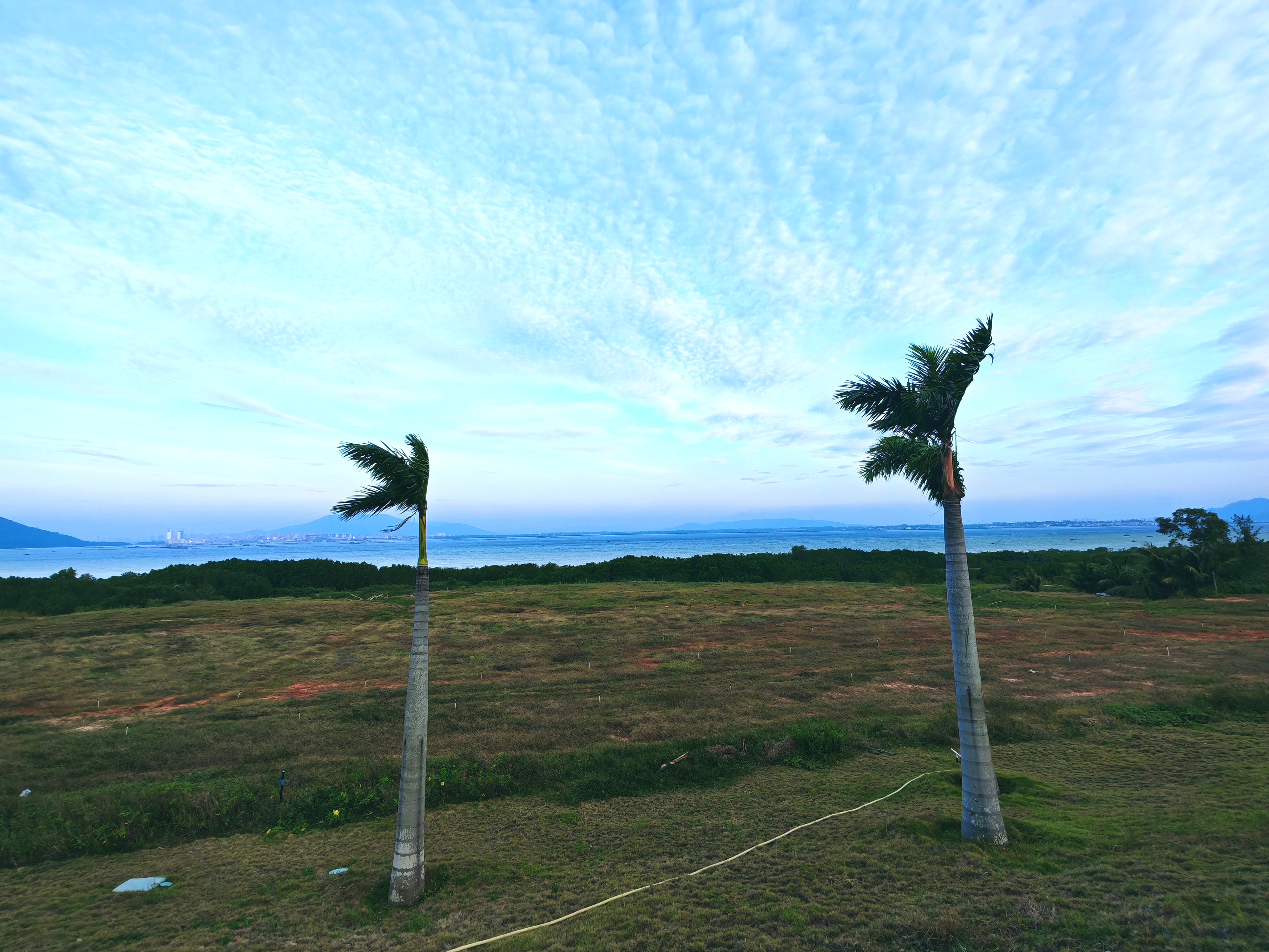 夫妻要经历的八个阶段 1. 激情期：新婚燕尔，甜蜜无比； 2. 磨合期...