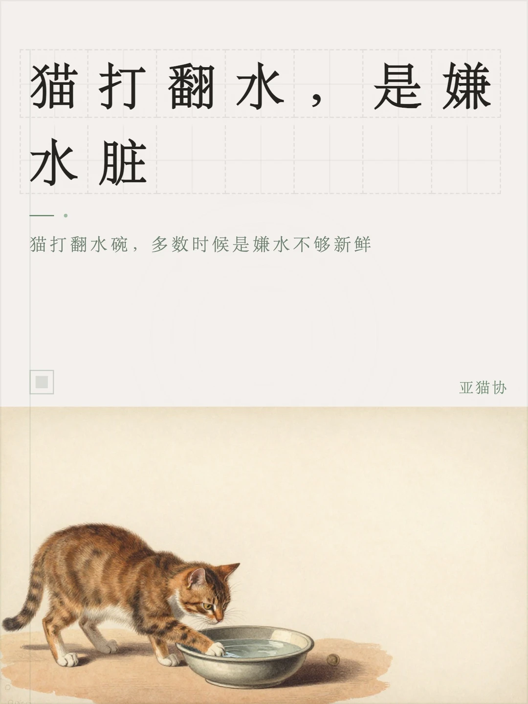 猫打翻水，是嫌水脏
