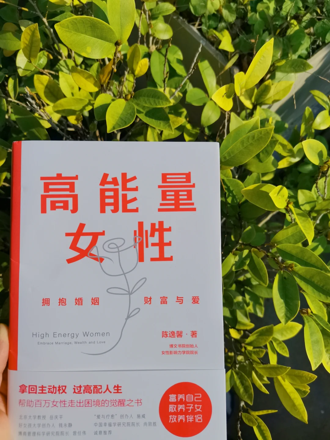 做高能量女性，成为大赢家