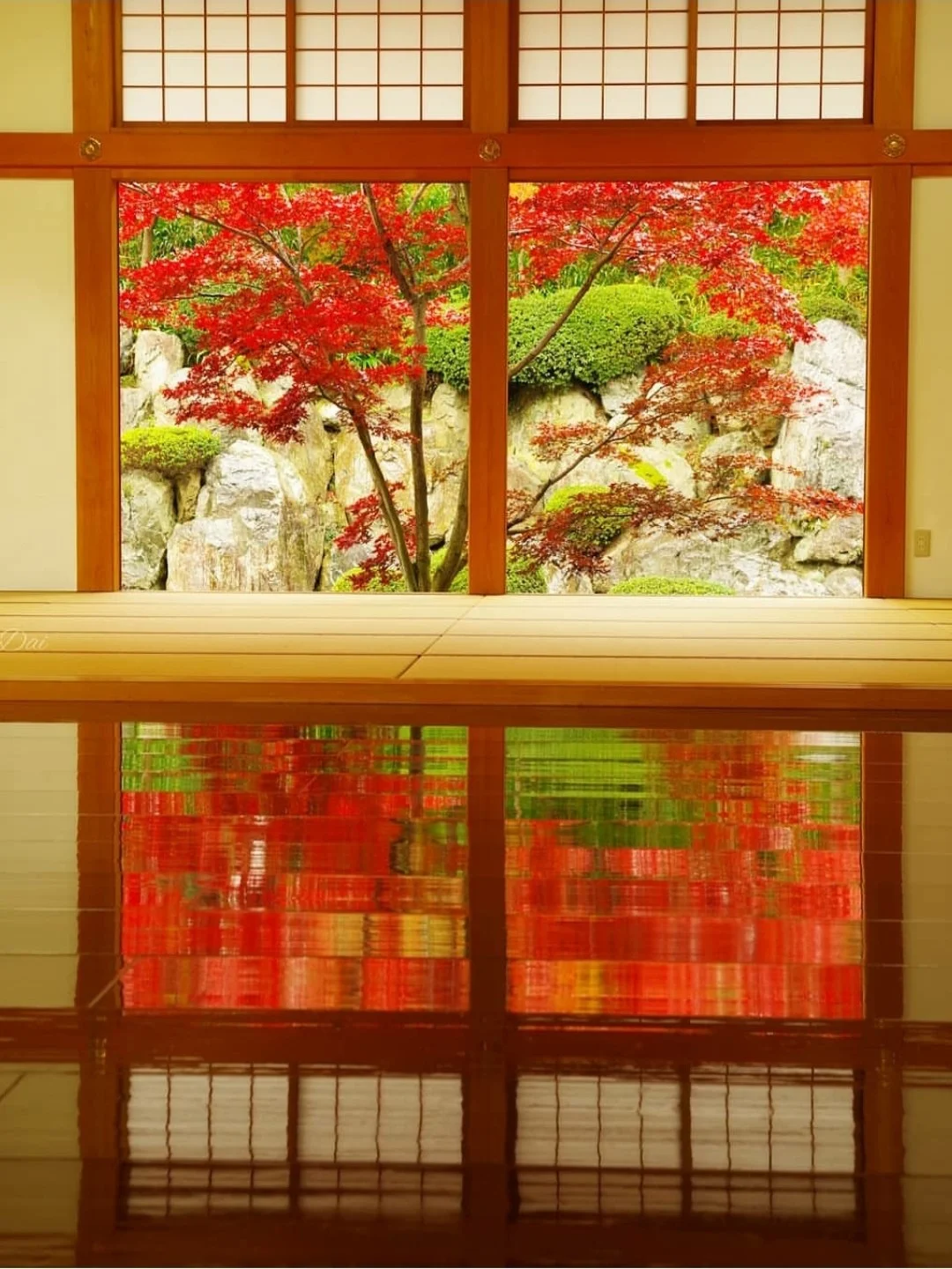 日本群马|只服日本，寺庙风景都美成这样？