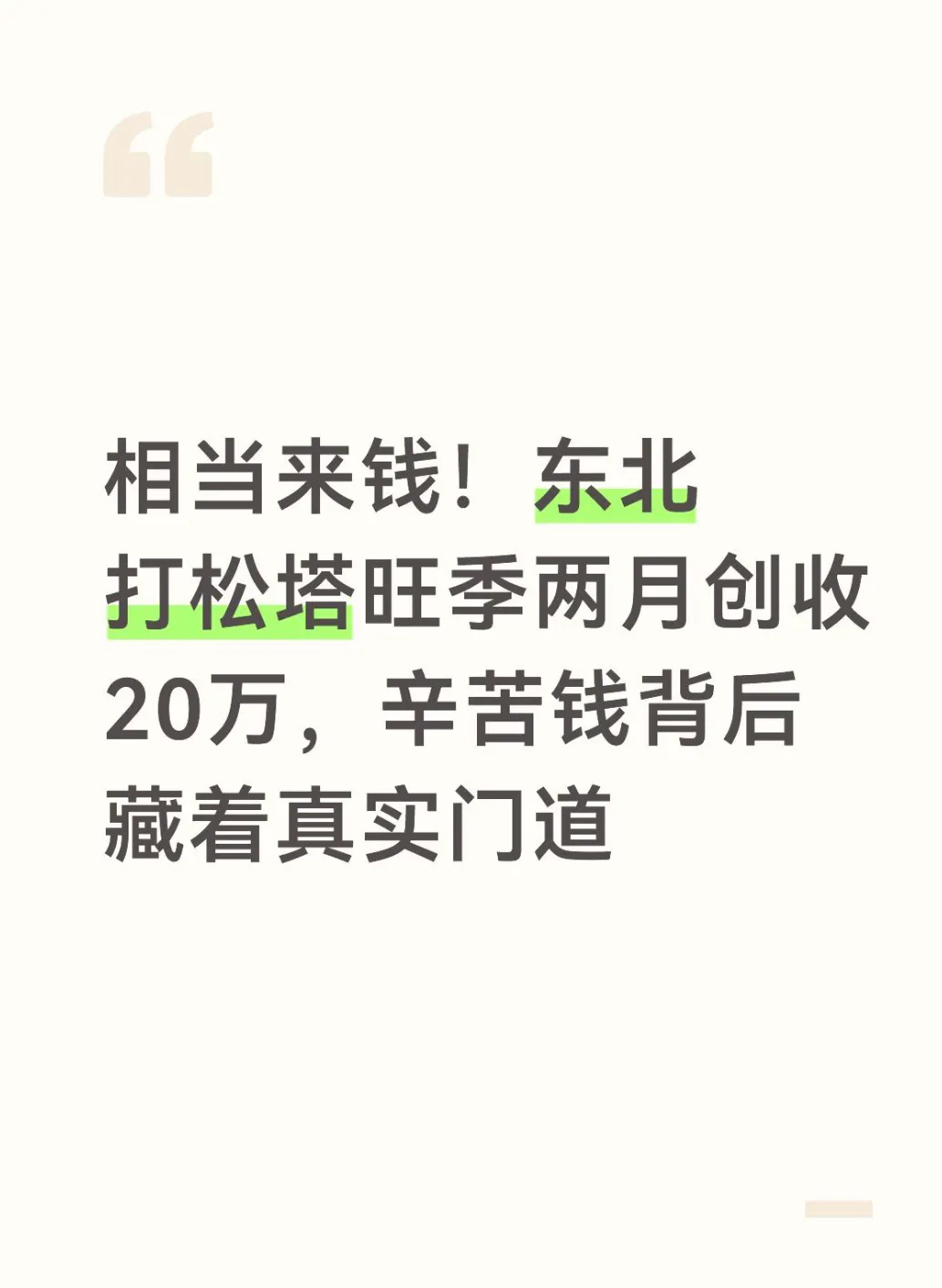 相当来钱！东北打松塔旺季两月创收20万，辛苦钱背后藏着真实门道