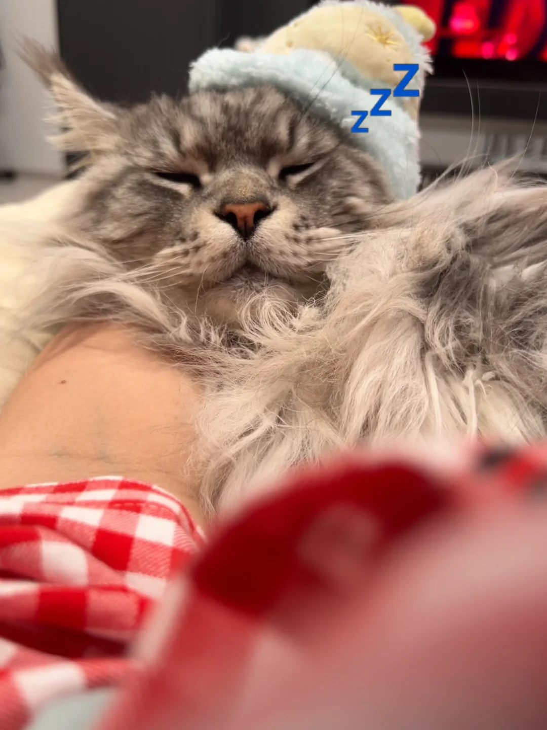 放下手机 晚安人类💤
