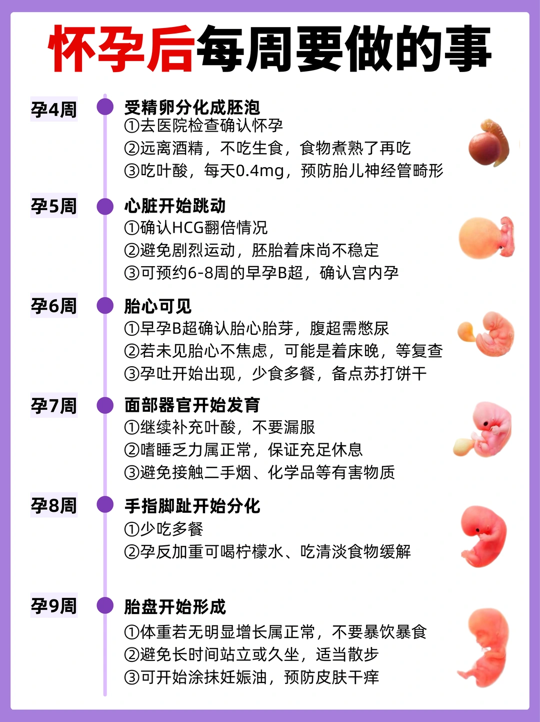 救命！终于有人把怀孕40周要做的事讲清楚了