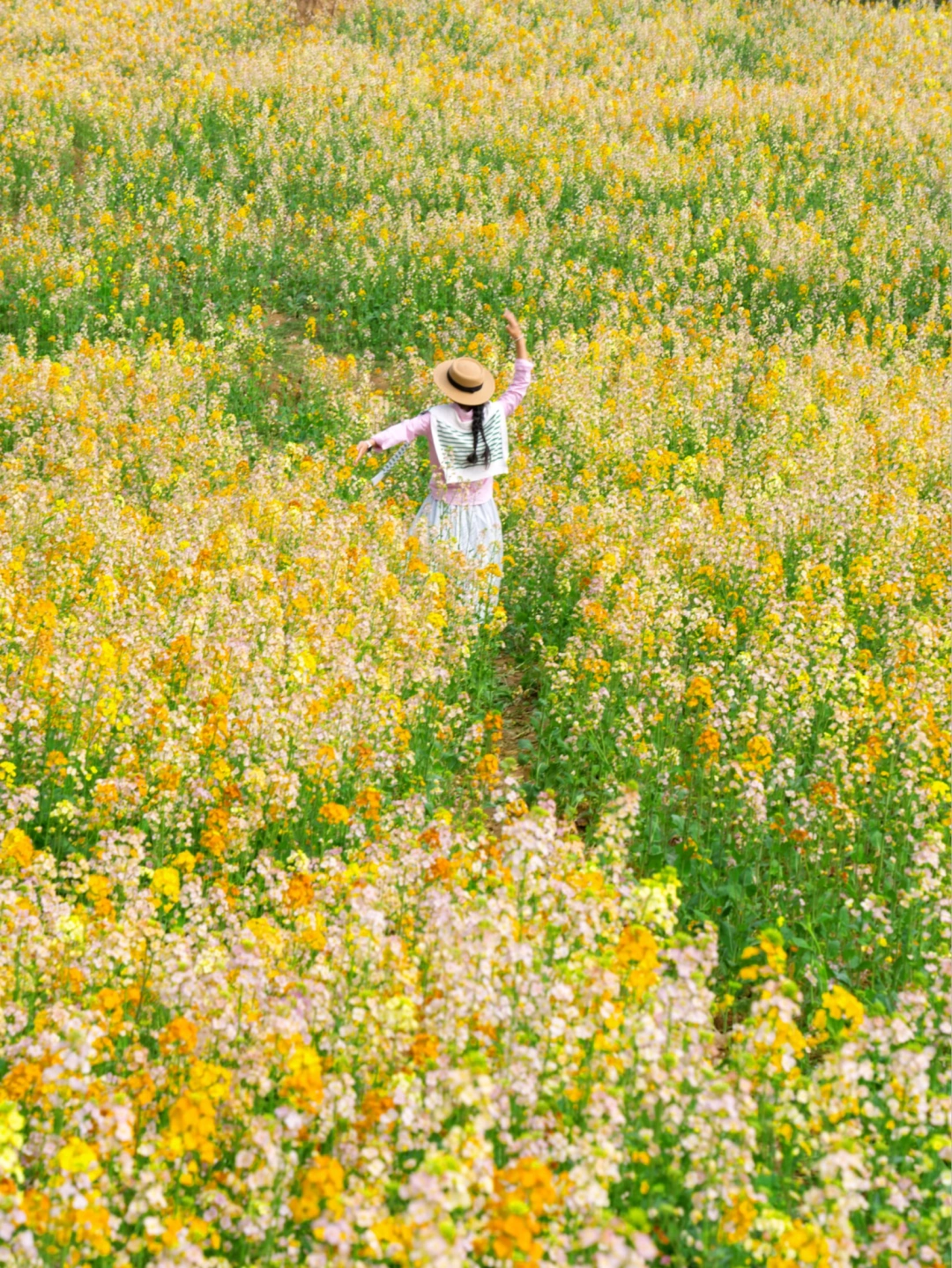 在余杭❗️ 现实版梵高的油画花田🌼人少花多