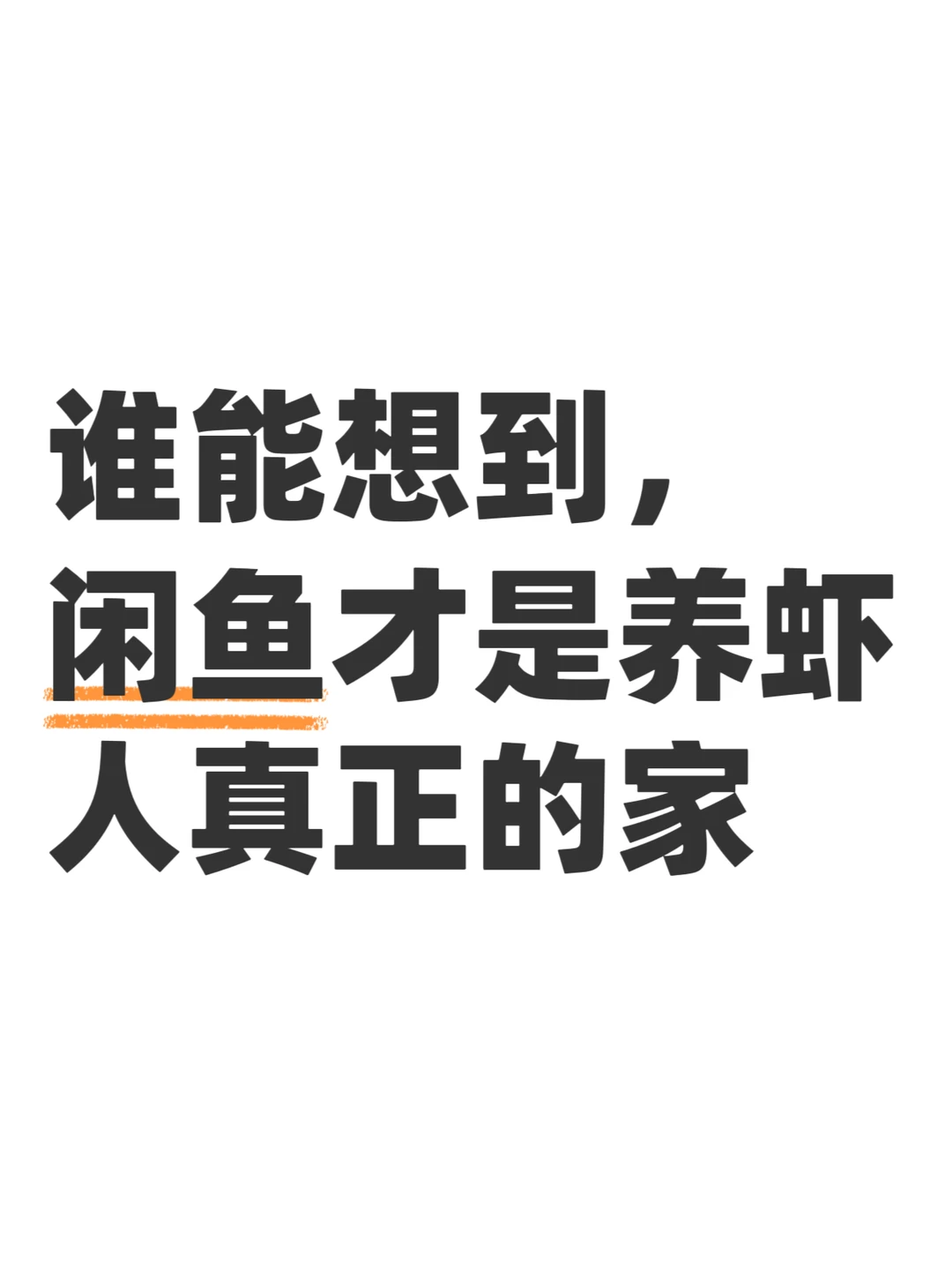全网都在养虾，只有闲鱼把虾养明白了