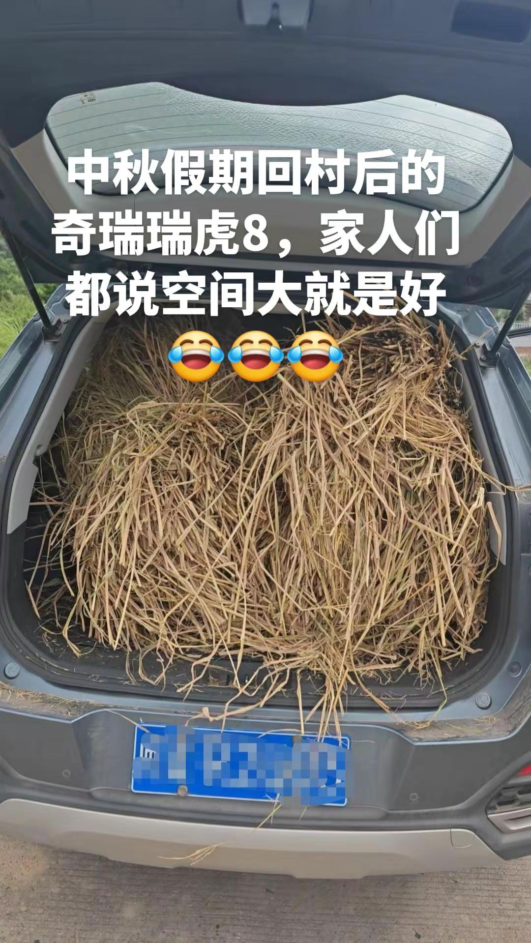 中秋假期回村后的奇瑞瑞虎8，家人们都说空间大就是好😂😂😂后备箱的收获 瑞虎8