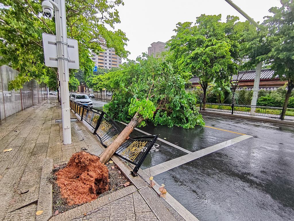台风“沙德尔”完成第三次登陆 闽粤多地遭遇强风雨侵袭

新华社福州9月3日电 今年第18号台风“沙德尔”，于9月3日6时30分前后，在福建省漳州市漳浦古雷沿海完成第三次登陆，登陆时为热带风暴级，中心附近最大风力9级（23米/秒）。

“沙德尔”是一个较为罕见的台风。8月28日它曾先后两次登陆浙江沿海