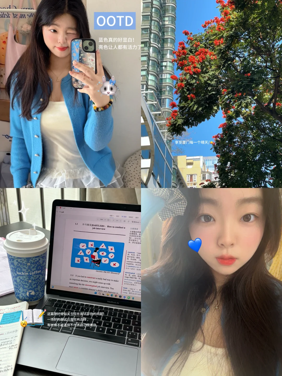 厦大研二📘用力感受最后一年的校园时光
