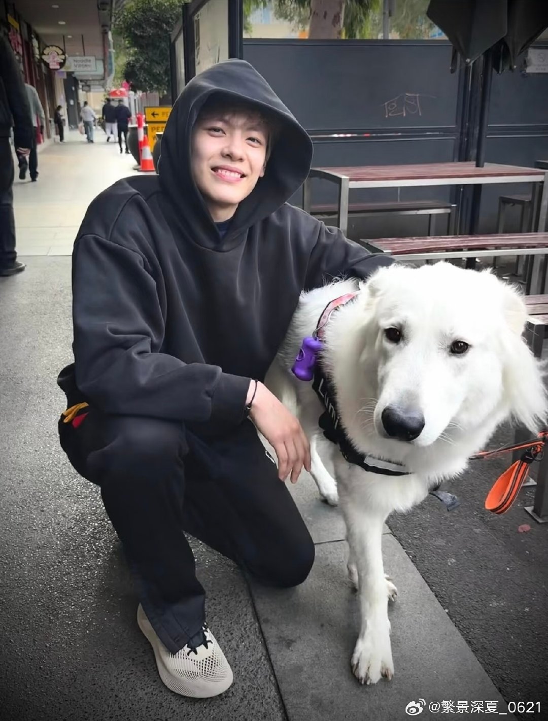 #杨舒予[超话]# 总是看见狗狗走不动道 ​
