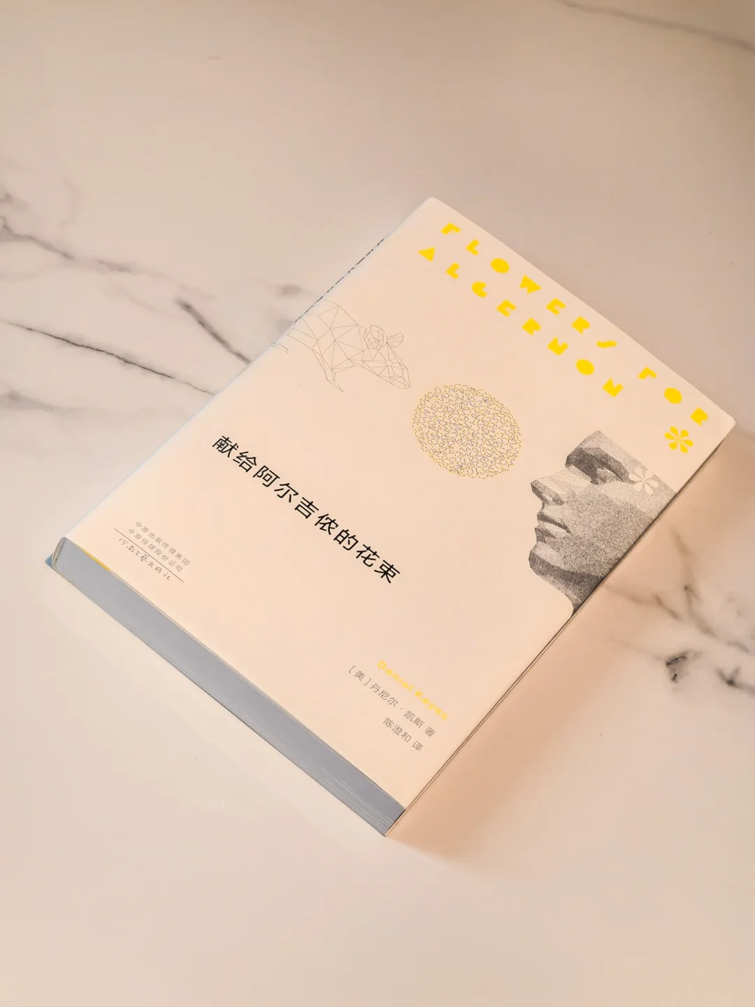 我已见过太阳，又怎能继续忍受黑暗？