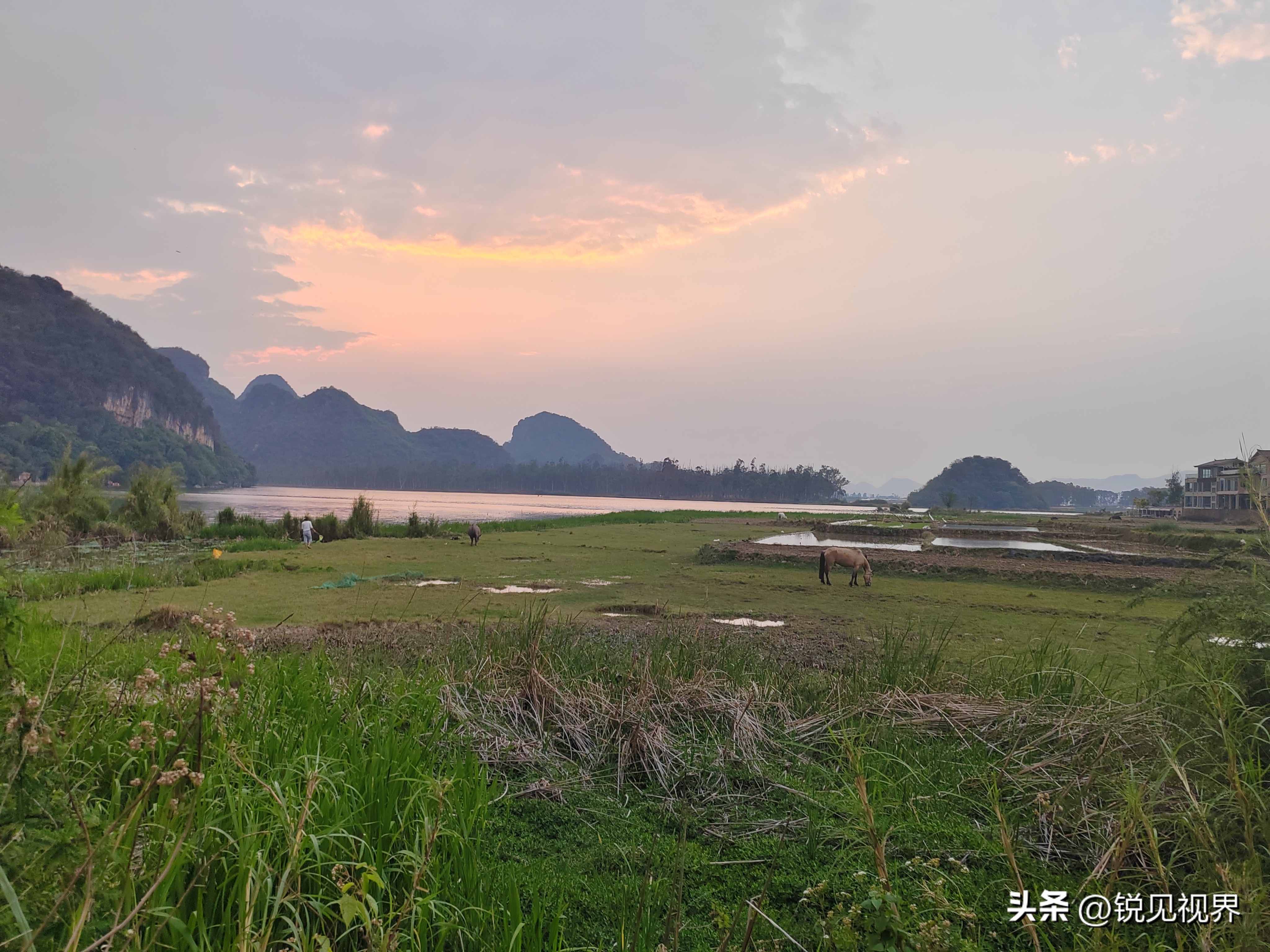 闲暇之余又到普者黑小憩，这种田园风光确实很治愈。谁能想到国内首个AI电商能从这个