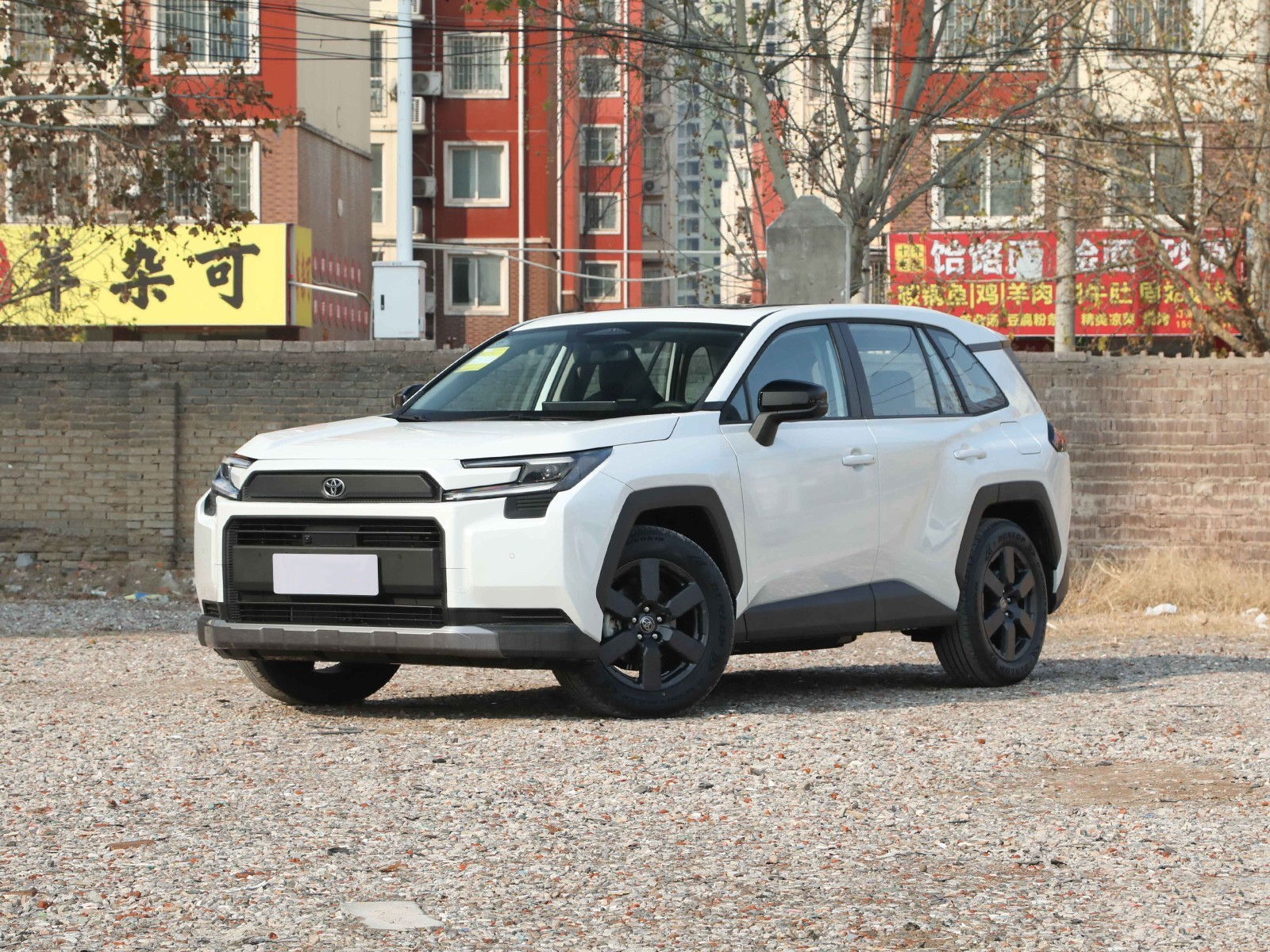 老公被洗脑了？放着丰田RAV4荣放不买，非要买10.99万元的星海V6