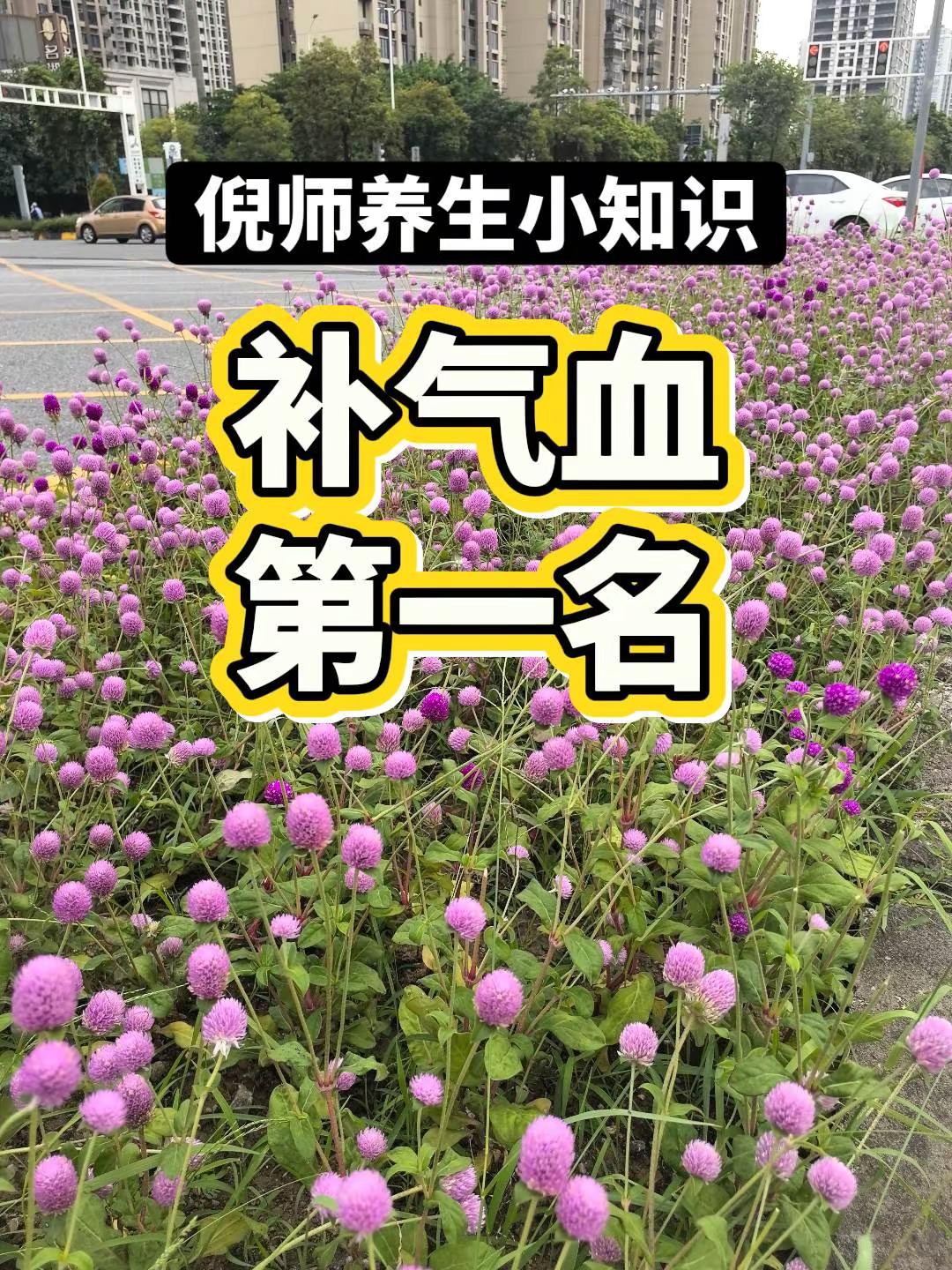 国足集训开启，新一期大名单公布，多名新人入选，备战接下来世预赛养生就是养健康 倪师教我们学中医