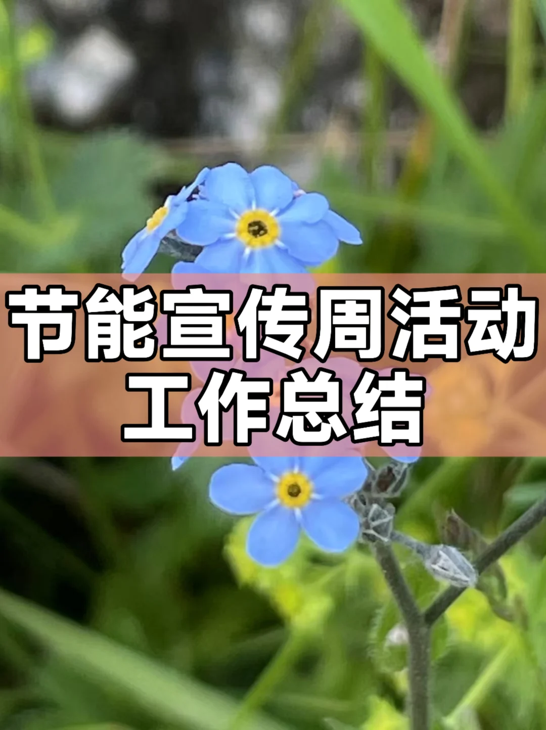 体制内：节能宣传周活动工作总结通用模板