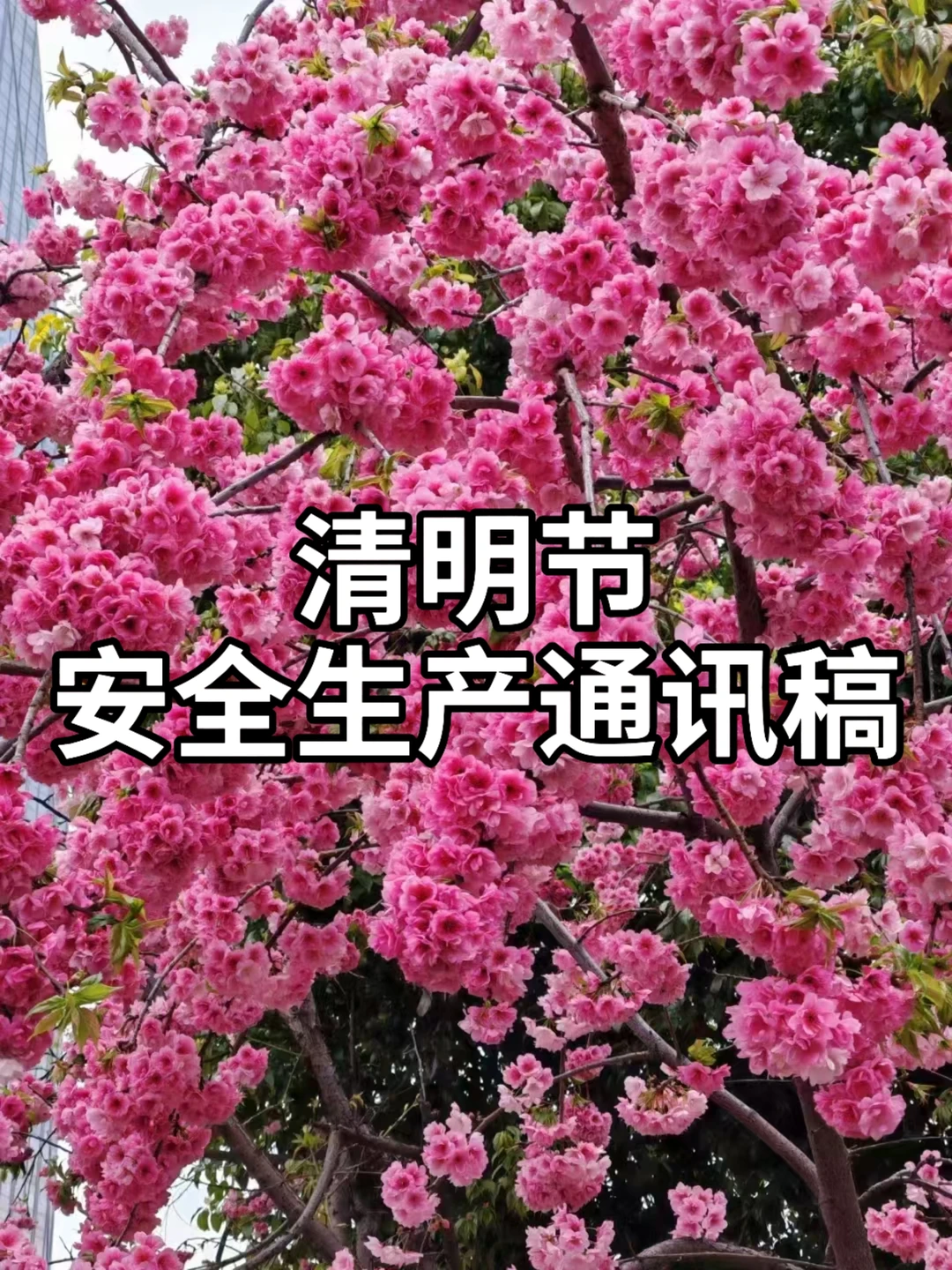 体制内：清明节安全生产通讯稿
