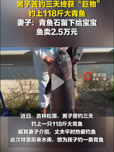 118斤大鱼卖了2.5万，最金贵的那块他却没卖
一条鱼，卖了2.5万块。但真正金贵的那一块，他留下了。
这事发生在吉林松原。一名男子爱钓鱼，这次特意跑到水库边，就想给自家孩子钓一条青鱼。
他要的不是鱼肉，是鱼喉咙里那块青鱼石。
民间老说法，青鱼石能辟邪，给宝宝戴着图个平安。他这一守，就是三天。
前两