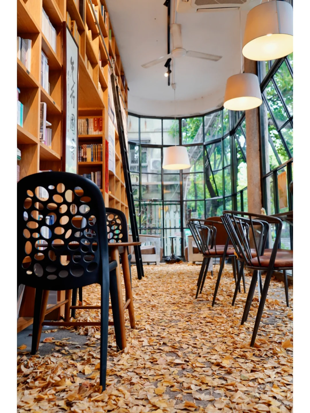 快冲❗️先行书店🍁最美银杏季已到啦