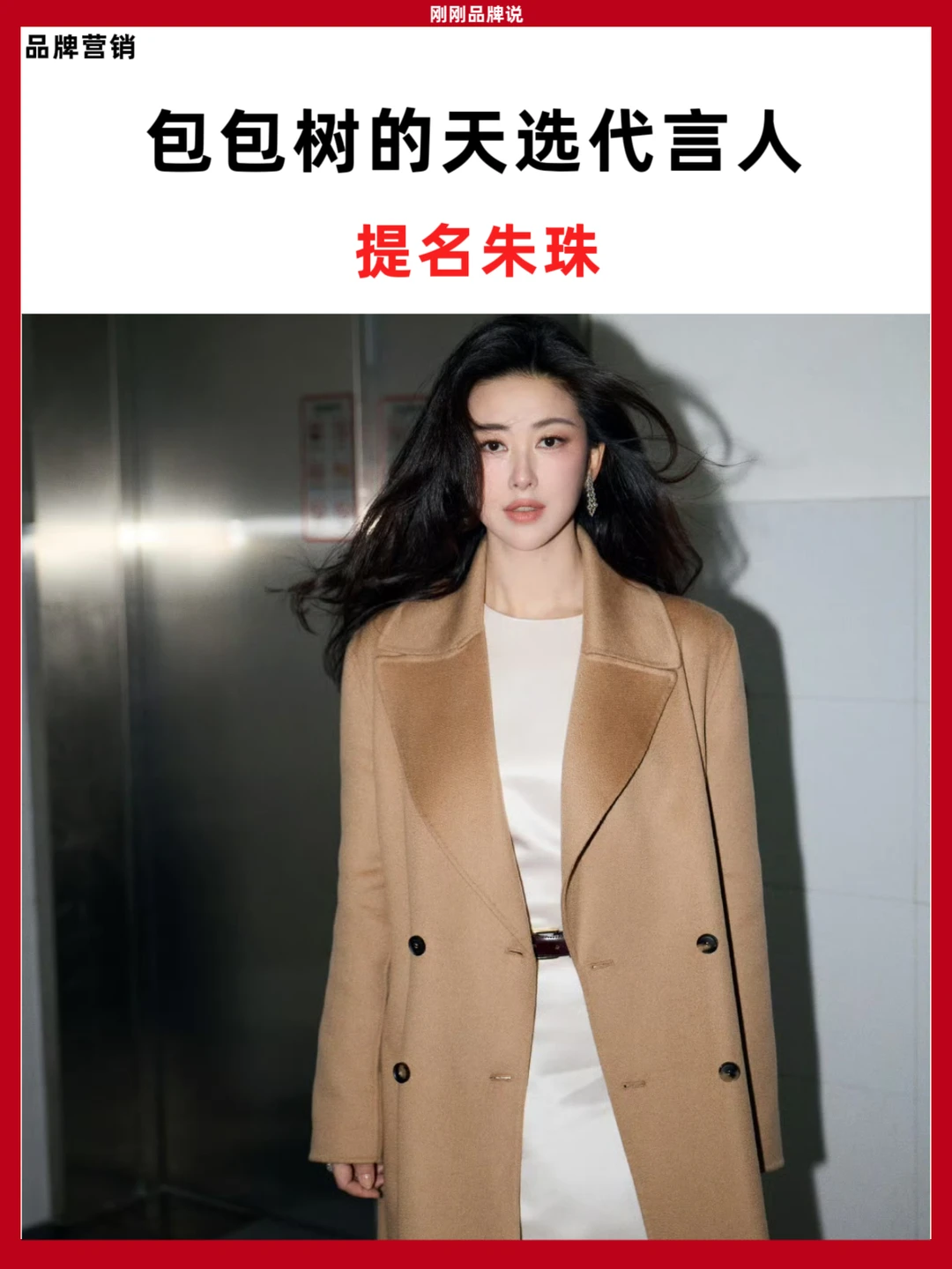 包包树的天选代言人，提名朱珠！
